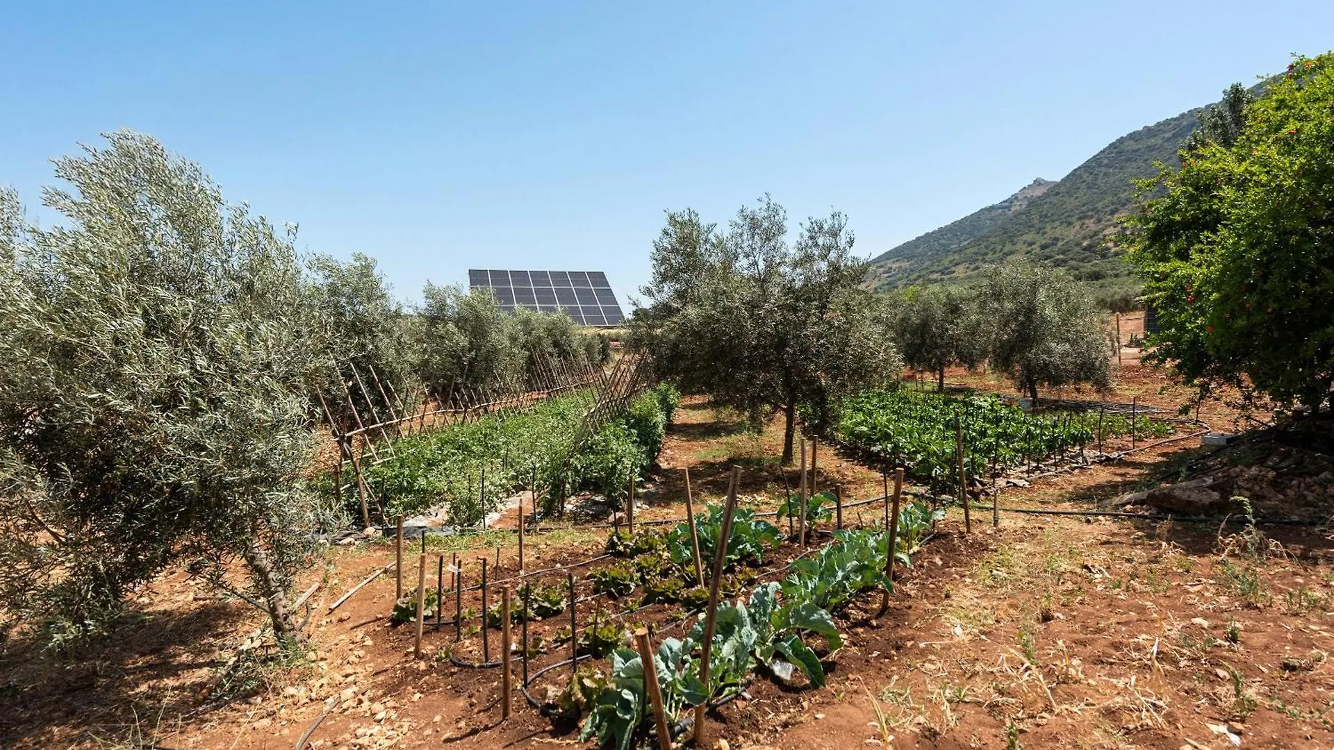 Casa de Férias Alojamiento Rural Fuente La Lana Villanueva del Trabuco
